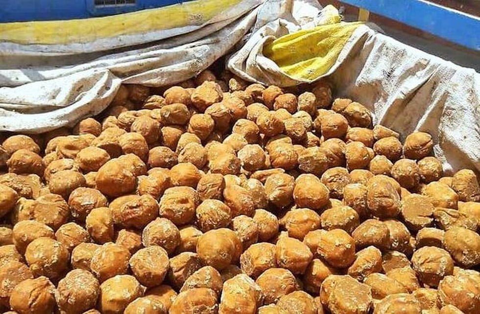 CM योगी ने दया आदेश, फरवरी में 2 दिन मनाया जायेगा गुड़ महोत्सव 5 DE21 GUR