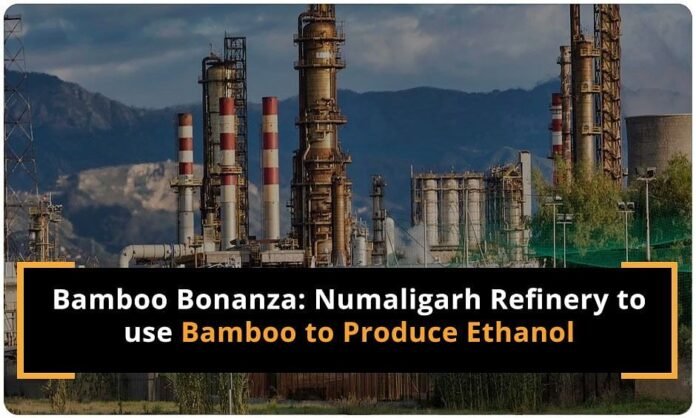 Numaligarh Refinery To Manufacture Ethanol Out Of Bamboo Sugar Times 6091